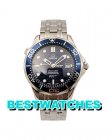 Omega Replica Seamaster Diver 300 M 2537.80.00 - 42 MM